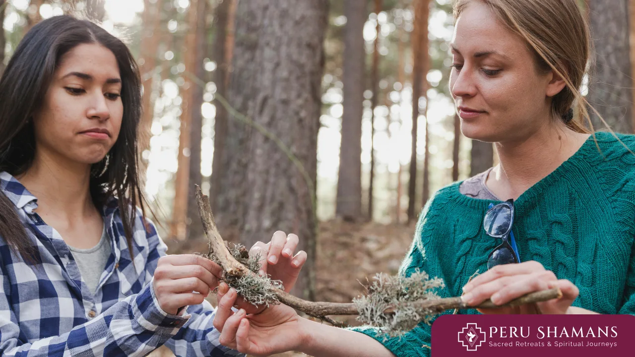 Who Might Want to Go on a Shamanic Retreat